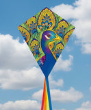 ECO Peacock Diamond Kite