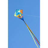 ECO Dolphin Sunset Diamond Kite