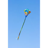 ECO Dolphin Sunset Diamond Kite