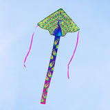 ECO Simple Flyer Peacock Kite
