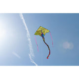 ECO Simple Flyer Peacock Kite