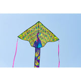ECO Simple Flyer Peacock Kite
