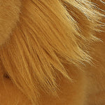 Little Lion Plush