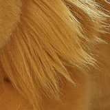 Little Lion Plush