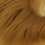 Little Lion Plush