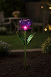 Purple tulip-shaped solar light on a white background