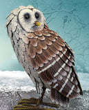 Barn Owl Standing at The Sky's the Limit