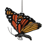 Monarch Butterfly Bouncy