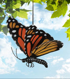 Monarch Butterfly Bouncy