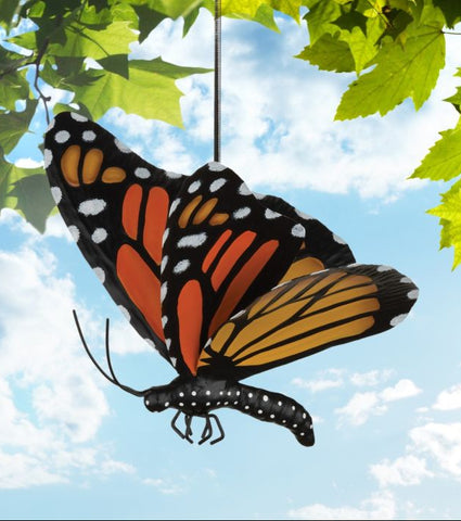 Monarch Butterfly Bouncy