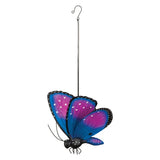 Papillion Butterfly Bouncy