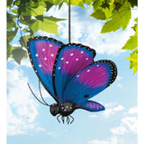 Papillion Butterfly Bouncy