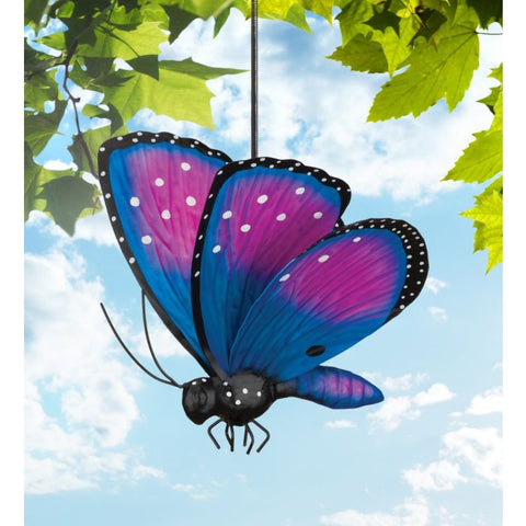 Papillion Butterfly Bouncy