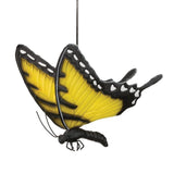 Swallowtail Butterfly Bouncy