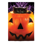 Kitten in Pumpkin Bucket Lustre House Flag