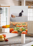 Flying Cat Suede House Flag