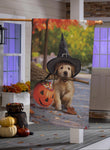 Decorative Halloween banner with a dog wearing a witch hat and holding a broomstick in front of pumpkins on a porch.