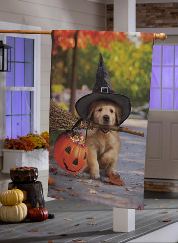 Decorative Halloween banner with a dog wearing a witch hat and holding a broomstick in front of pumpkins on a porch.