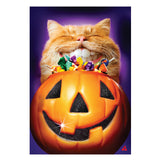 Cat Jack O'Lantern Pumpkin Teeth Suede Garden Flag