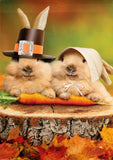 Bunny Pilgrims Suede Garden Flag