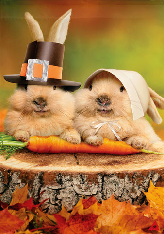 Bunny Pilgrims Suede Garden Flag