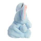 Horton Palm Pal