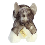 Siberian Husky Pup Plush
