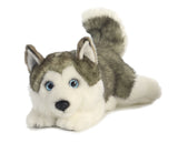 Lying Husky Plush