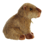 Capybara Plush