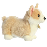 Pembroke Welsh Corgi Plush