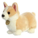 Pembroke Welsh Corgi Plush