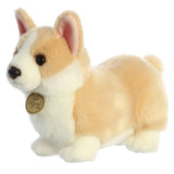 Pembroke Welsh Corgi Plush