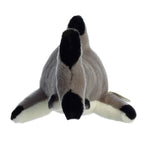 Blacktip Shark Plush