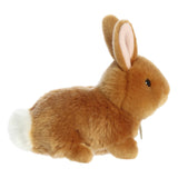 Baby Ginger Bunny Plush