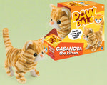 Casanova The Walking Kitten