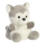 Busky Huskey Palm Pal