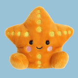 Treasure Starfish Palm Pal