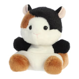 Nutmeg Guinea Pig Palm Pal