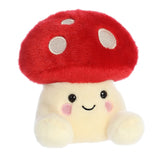 PALM PAL AMANITA MUSHROOM