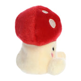 PALM PAL AMANITA MUSHROOM