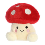 PALM PAL AMANITA MUSHROOM