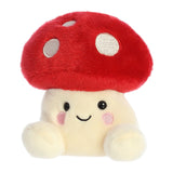 PALM PAL AMANITA MUSHROOM