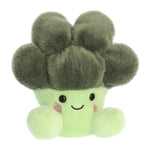 Luigi Broccoli Palm Pal