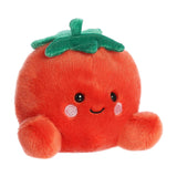 Boyd Tomato Palm Pal