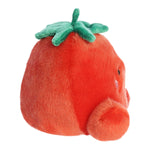 Boyd Tomato Palm Pal