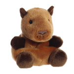 Sid Capybara Palm Pal