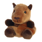 Sid Capybara Palm Pal