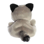 Rascal Racoon Palm Pal