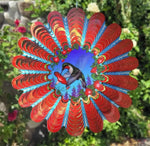 Animated Red Hummingbird LG Spinfinity