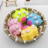 Pet Paw Squishy